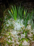 20140212_203222 Hail storm in Llantwit Major.jpg